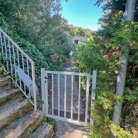 Le Grand Bleu - T4 Avec Garage - Wifi - Vue Tatil Evi Le Lavandou